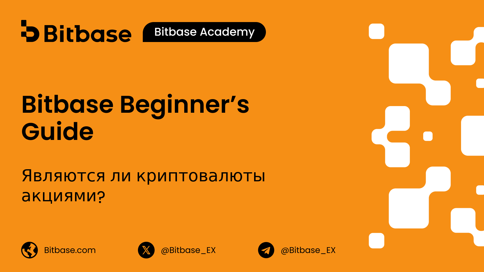 Являются ли криптовалюты акциями? В чём реальная разница