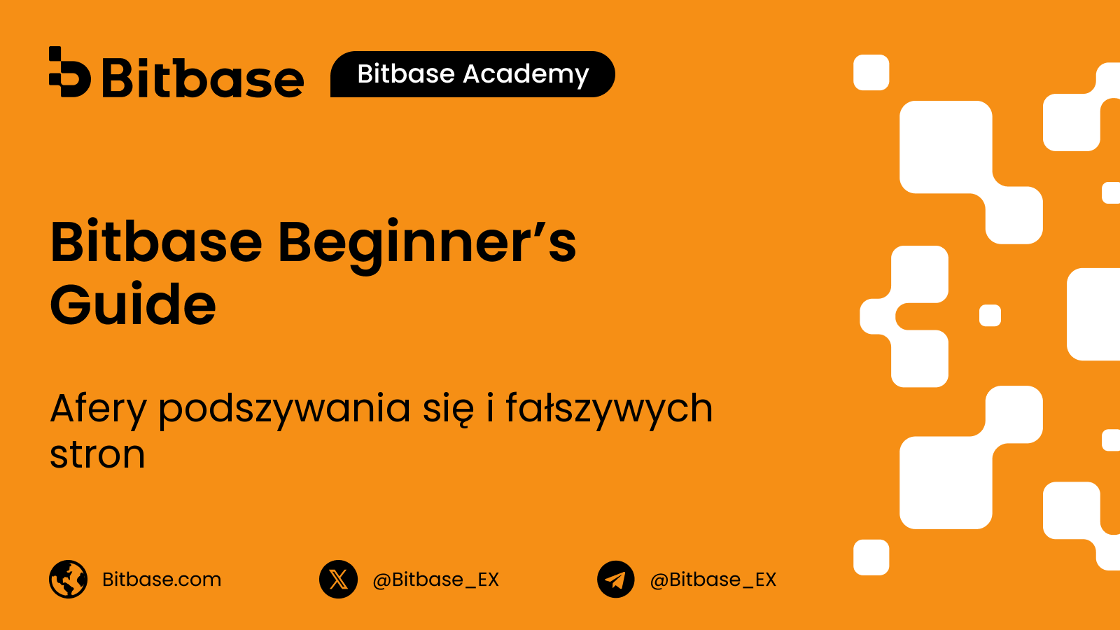 Afery podszywania się i fałszywych stron