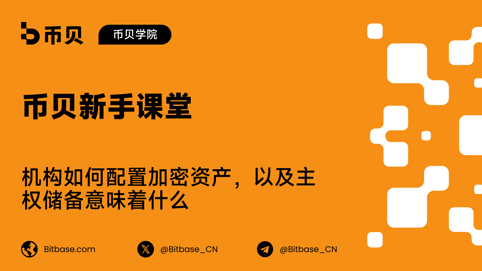 机构如何配置加密资产,以及主权储备意味着什么