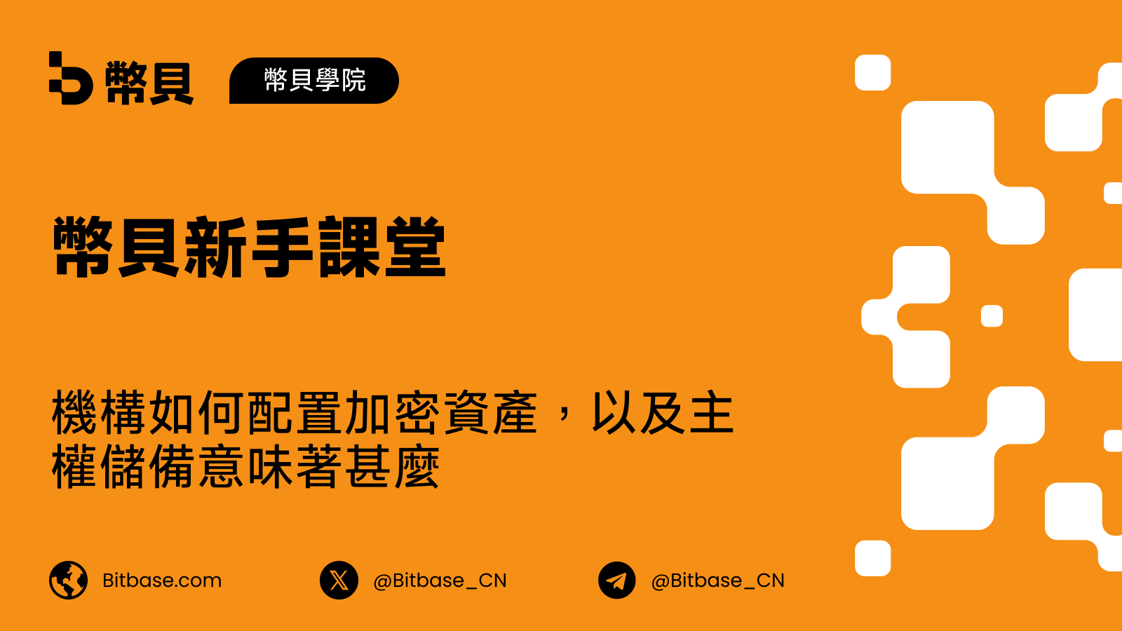 機構如何配置加密資產,以及主權儲備意味著甚麼