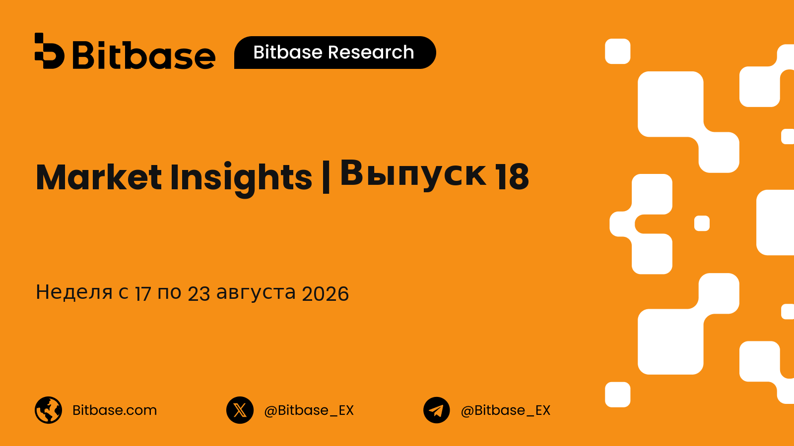 Market Insights | Выпуск 18