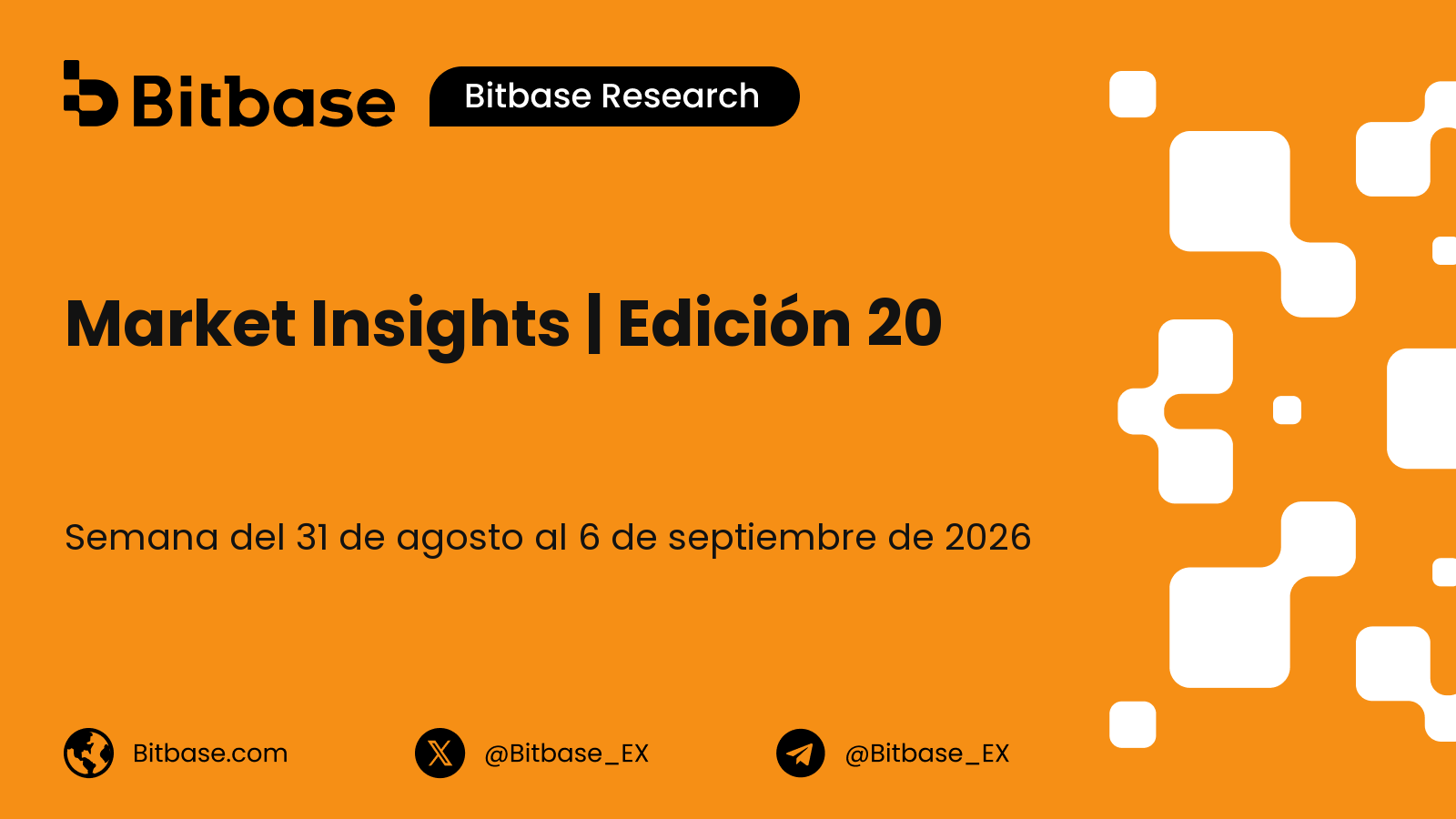 Market Insights | Edición 20
