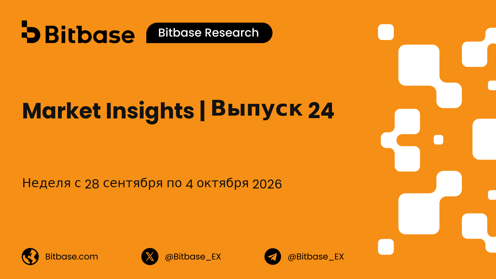 Market Insights | Выпуск 24