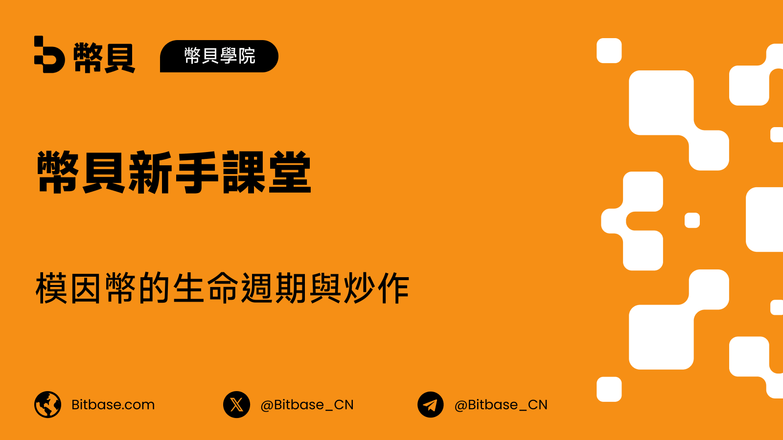模因幣的生命週期與炒作