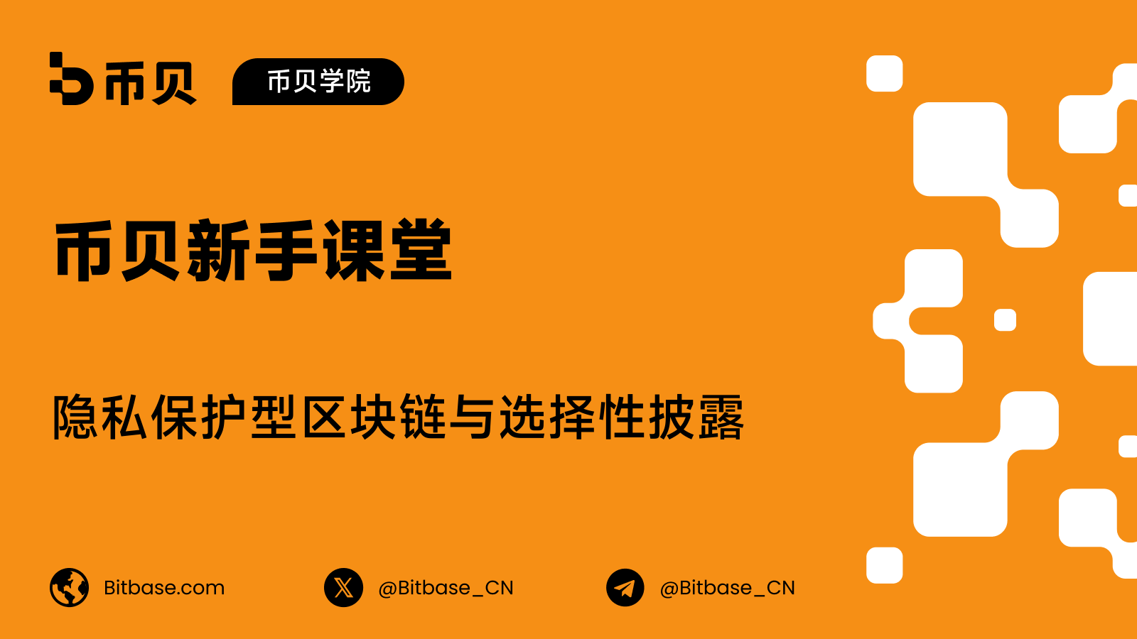 隐私保护型区块链与选择性披露