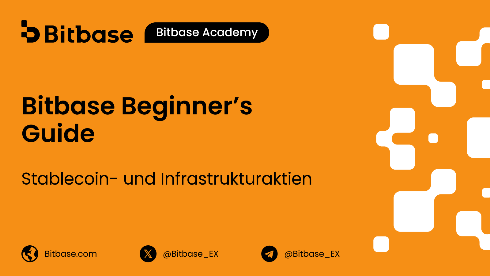 Stablecoin- und Infrastrukturaktien: Was du wirklich kaufst