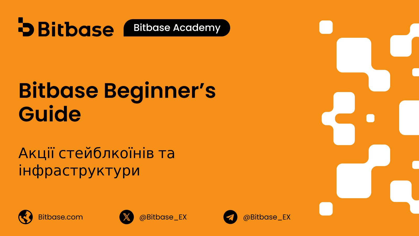 Акції стейблкоїнів та інфраструктури: що ви купуєте