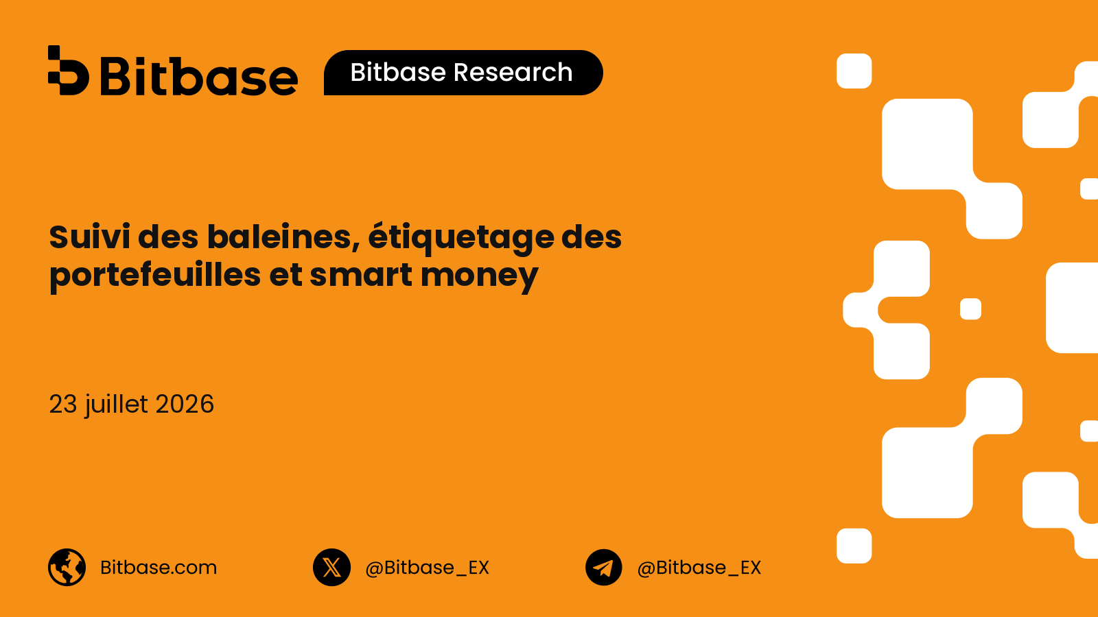 Suivi des baleines, étiquetage des portefeuilles et smart money : une taxonomie des entités-portefeuille et un cadre de détection forensique