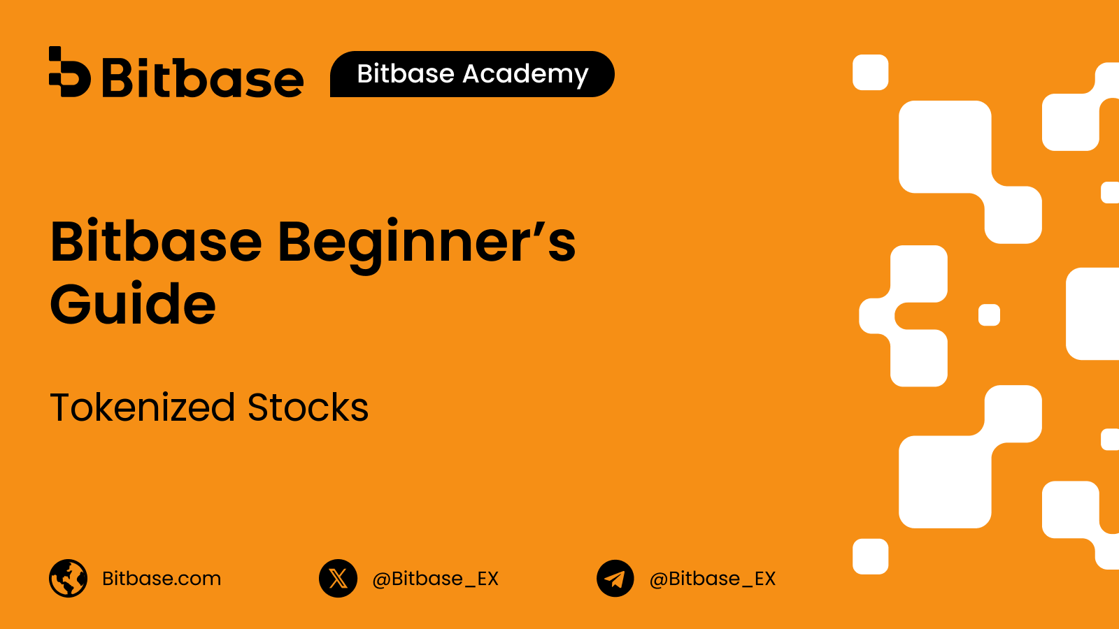 Tokenized Stocks: What the Symbol Tells You About the Issuer