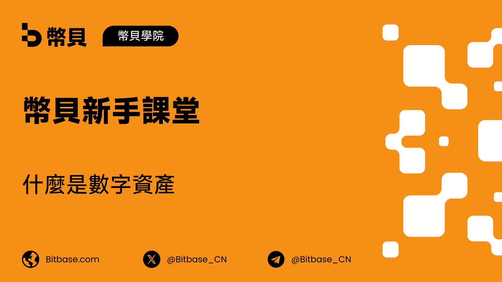 什麼是數字資產(Digital Asset)
