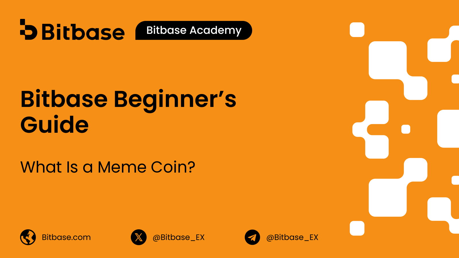What Is a Meme Coin?