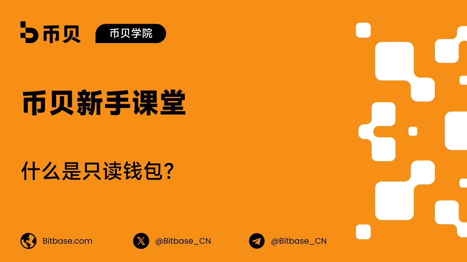 什么是只读钱包？只看资金，不能花费