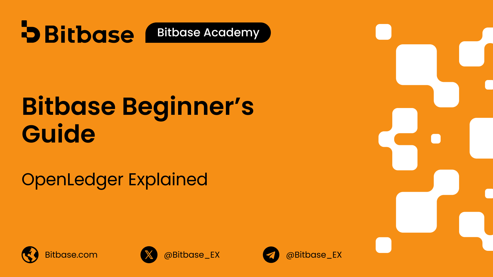 OpenLedger Explained