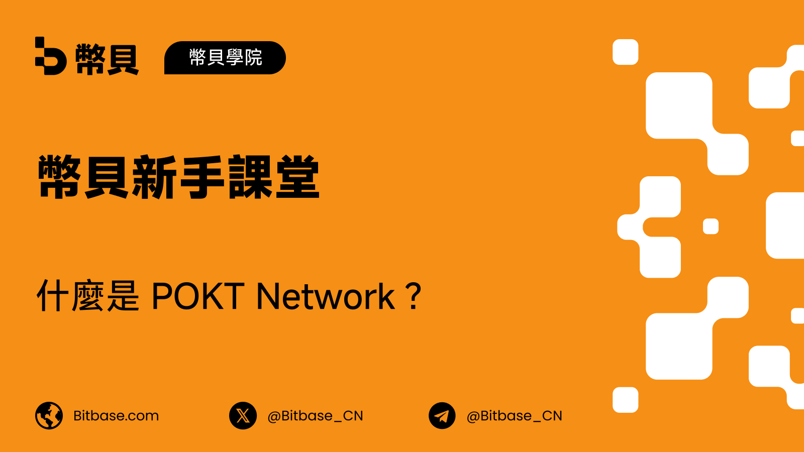 什麼是 POKT Network?