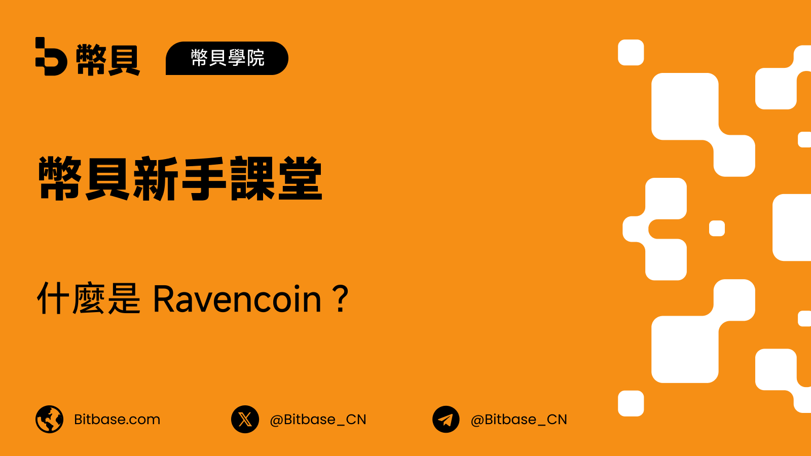 什麼是 Ravencoin?原生 RVN 與鏈上資產