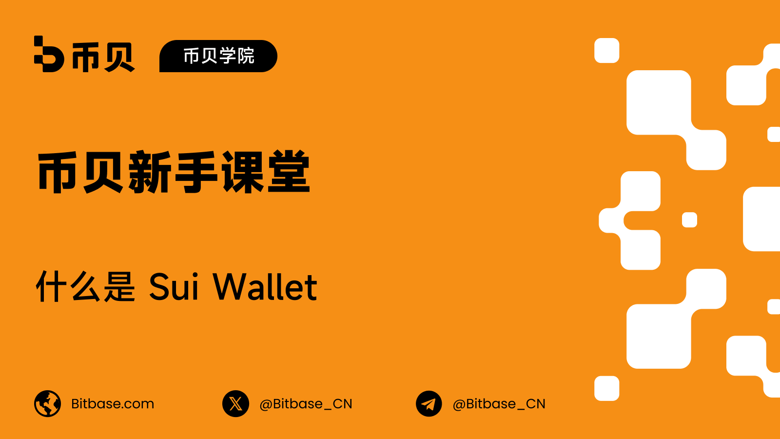 什么是 Sui Wallet:Slush 的前身名称
